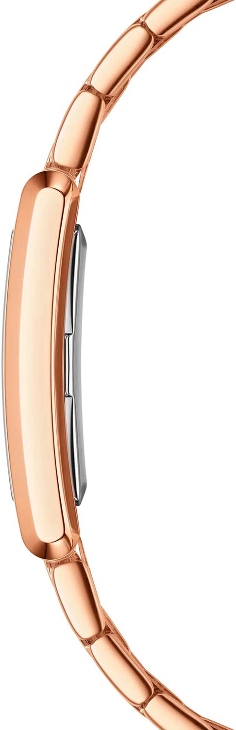 Daniel Wellington Daniel Wellington Bound 9-Link Emerald Sunray DW00100704,  швеция женские часы на браслете нержавеющая сталь с pvd-покрытием боковой вид