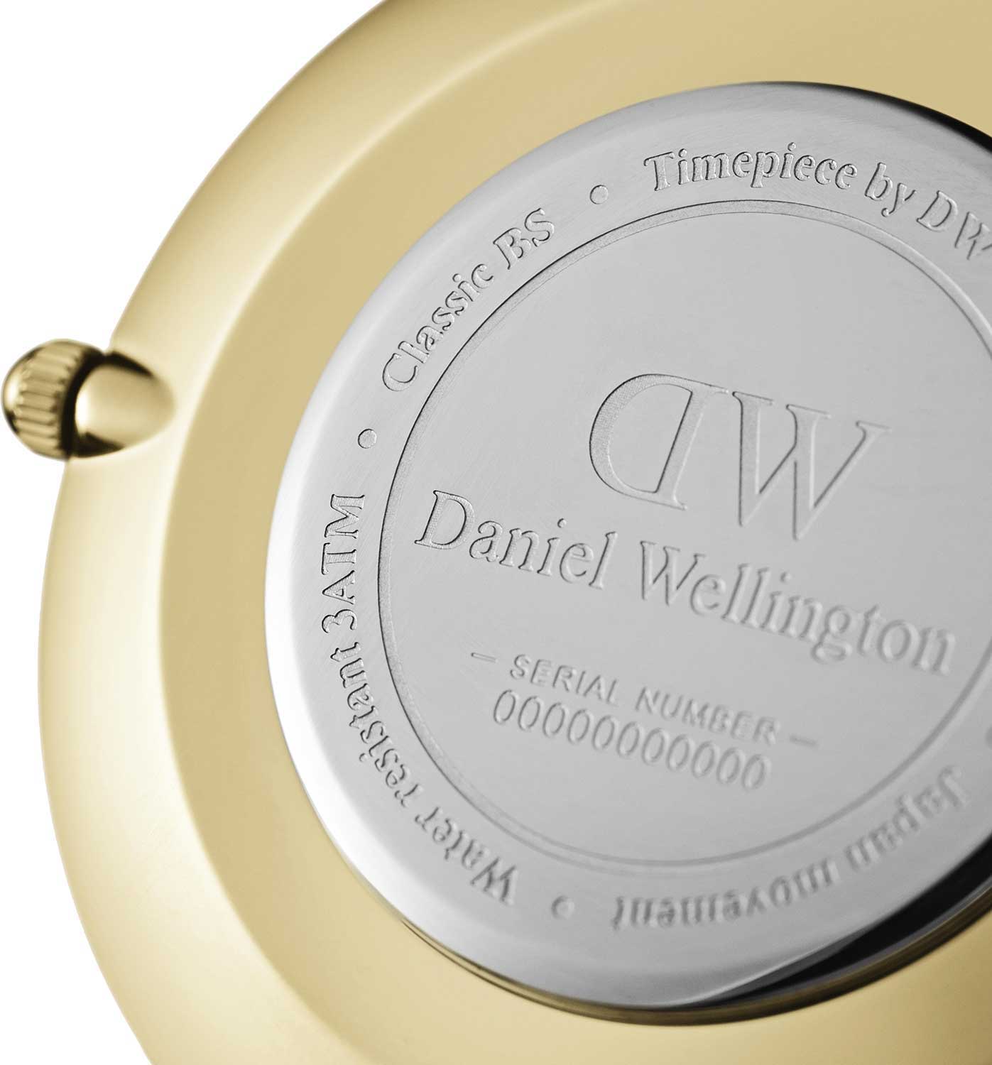 Daniel Wellington Daniel Wellington Petite Evergold DW00100346, petite швеция женские часы на браслете сталь c pvd покрытием боковой вид