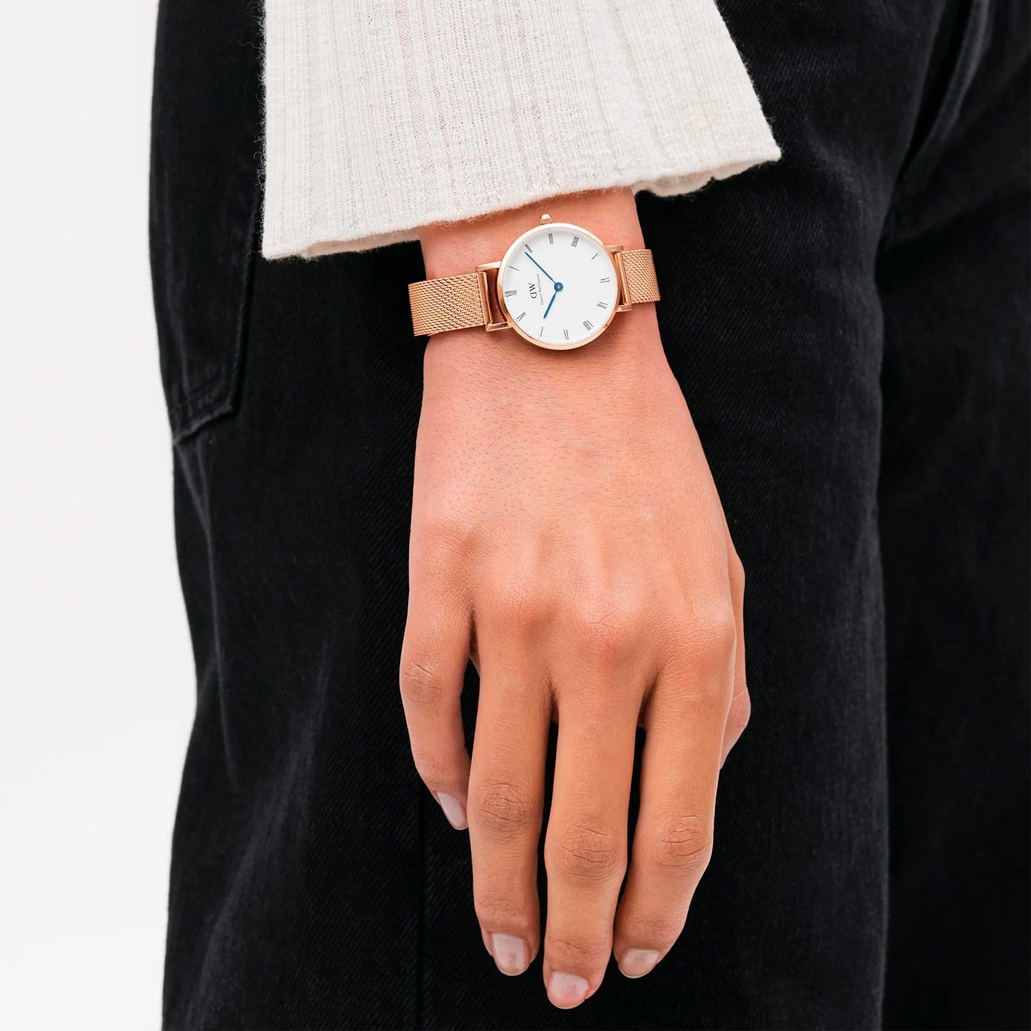 Оригинальные часы Daniel Wellington Daniel Wellington Petite Roman Numerals DW00100681 кварцевые калибр механизма  общий вид