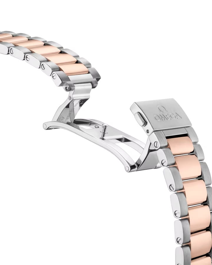 Omega Omega Seamaster Aqua Terra 220.20.38.20.02.001, seamaster швейцария мужские часы на браслете нержавеющая сталь + золото 18к боковой вид