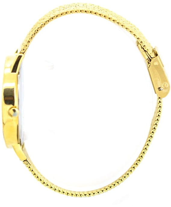 Beverly Hills Polo Club Beverly Hills Polo Club BP3107X.110 кварцевые женские часы часы крупный план серебристый циферблата