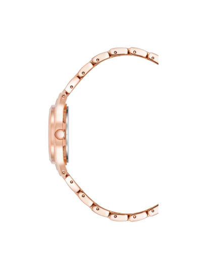 Anne Klein Anne Klein Metals 5490MPRG,  сша женские часы на браслете сталь с ip покрытием боковой вид
