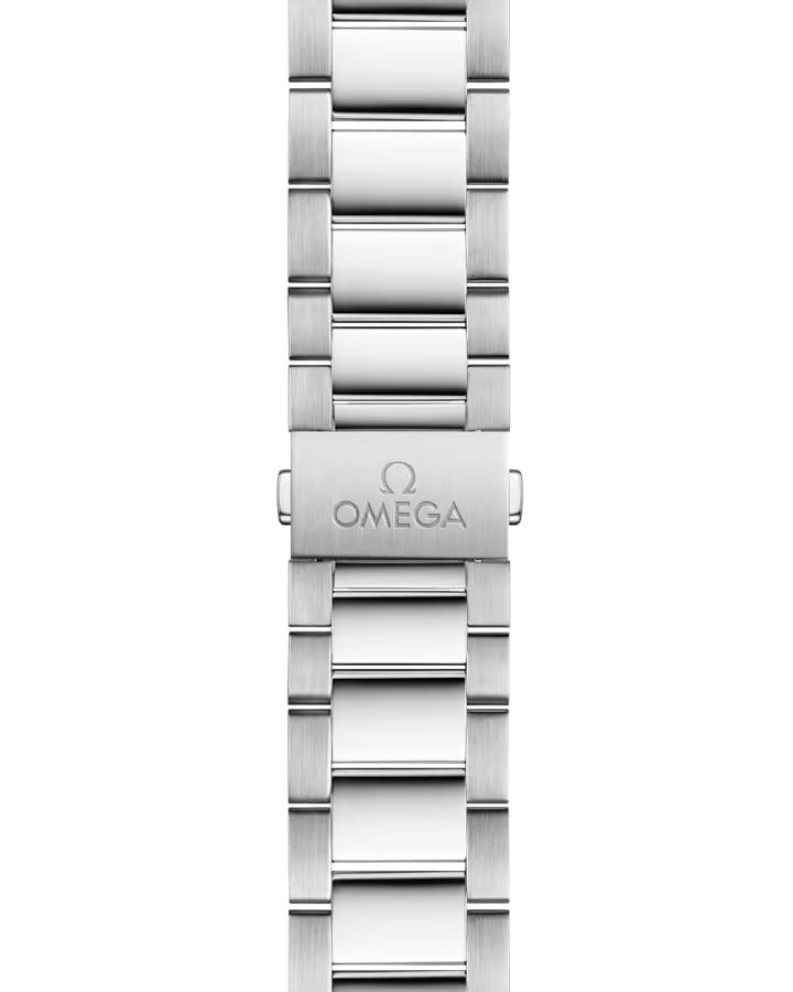 Omega Omega Seamaster Aqua Terra 220.10.41.21.02.002, seamaster швейцария мужские часы на браслете нержавеющая сталь боковой вид