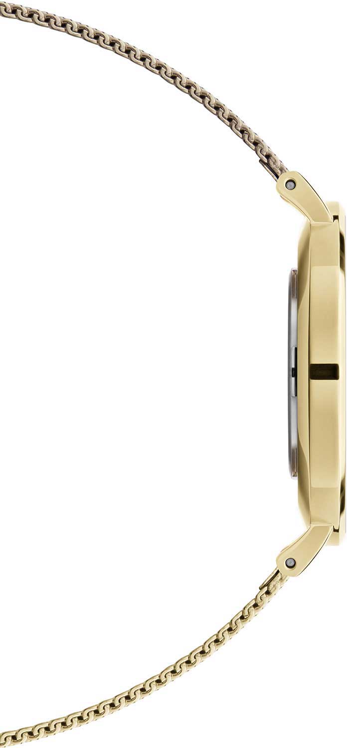Оригинальные часы Daniel Wellington Daniel Wellington Petite Evergold DW00100346 кварцевые калибр механизма  общий вид