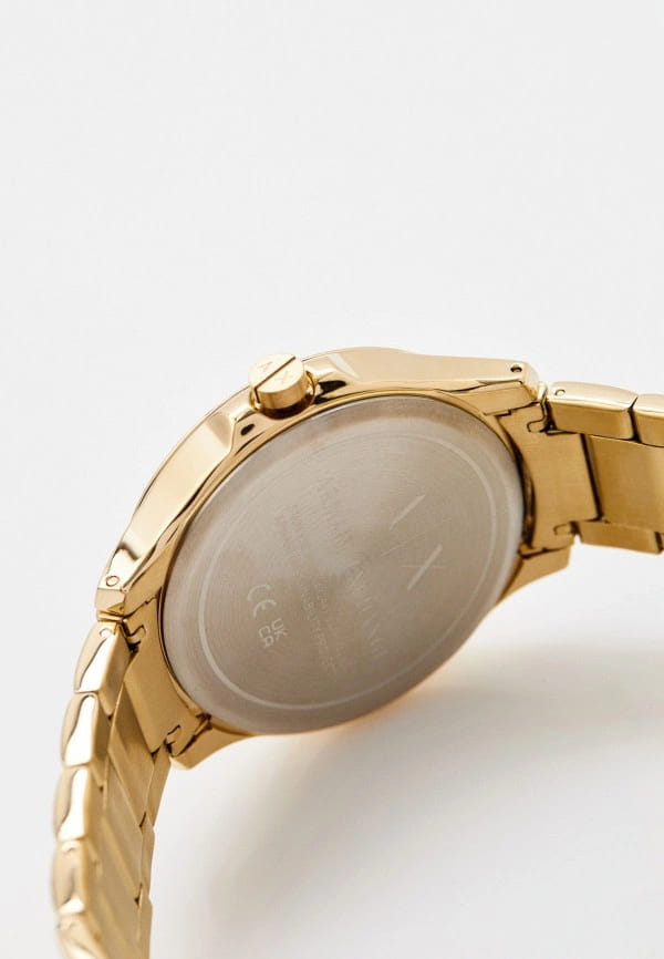 Armani Exchange Armani Exchange Hampton AX2443  — детали корпуса и сталь с ip покрытием