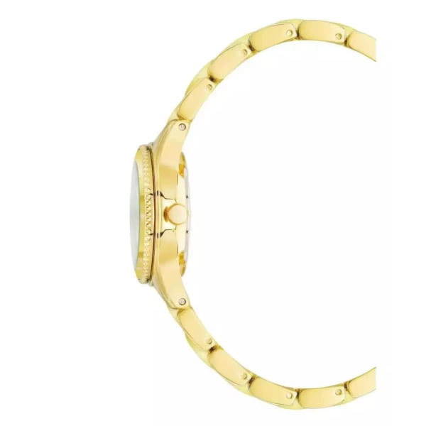 Anne Klein Anne Klein Metals 4060CHGB,  сша женские часы на браслете сталь c pvd покрытием боковой вид