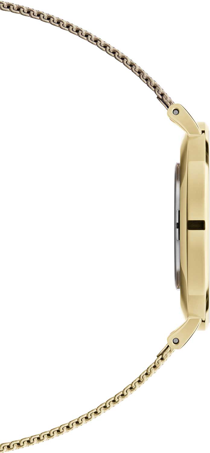 Оригинальные часы Daniel Wellington Daniel Wellington Petite Evergold DW00100345 кварцевые калибр механизма  общий вид