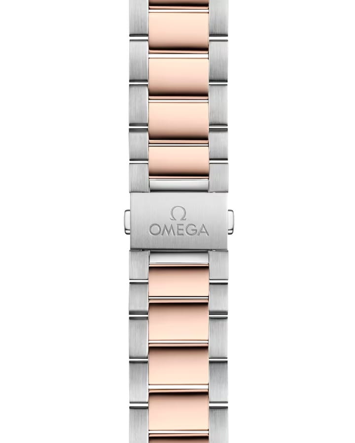 Omega Omega Seamaster Aqua Terra 220.20.38.20.02.001 Aqua Terra, наручные мужские часы фото под углом