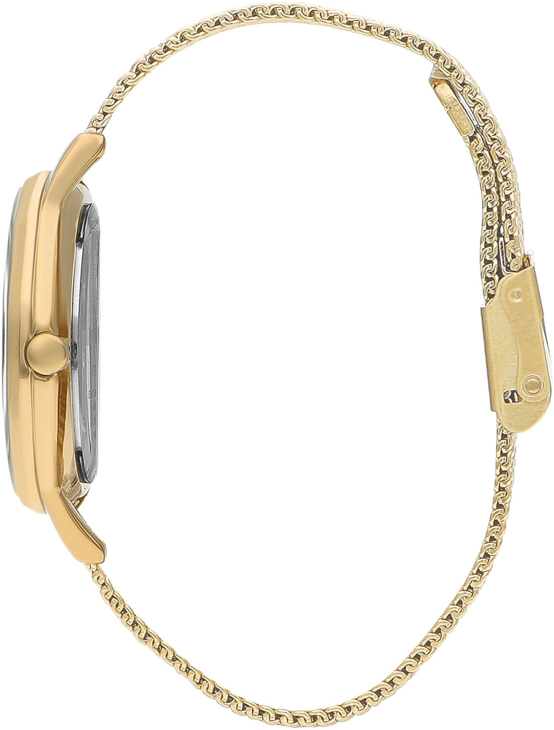 Beverly Hills Polo Club Beverly Hills Polo Club BP3394C.130,  сша женские часы на браслете нержавеющая сталь с ip-покрытием боковой вид