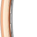 Daniel Wellington DW00100704