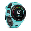 Garmin 010-02810-12