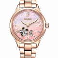 Citizen PC1017-88Y
