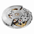 Hamilton H77785733