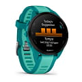 Garmin 010-02863-32