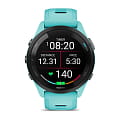 Garmin 010-02810-12