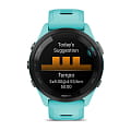 Garmin 010-02810-12