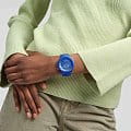 Swatch SB05N116