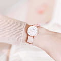 Daniel Wellington DW00100317
