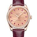 Omega 22058382099007
