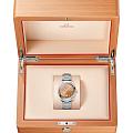 Omega 22010382012001